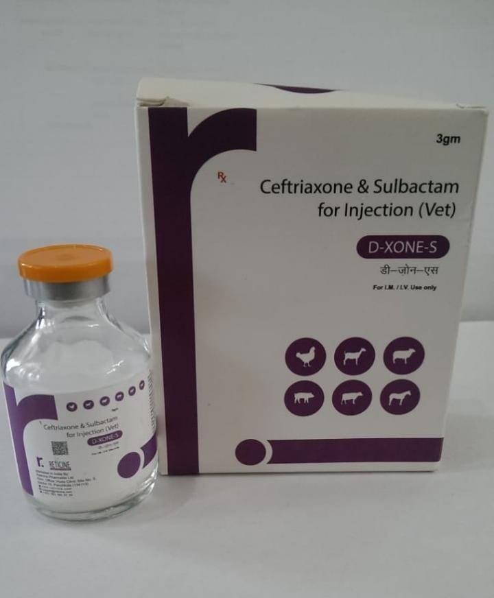D-XONE S 3 GM
